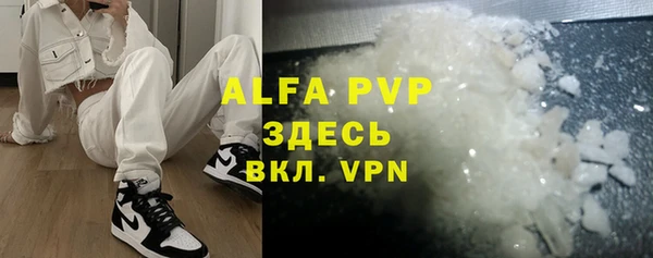 индика Балахна