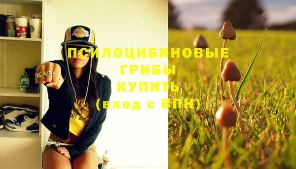 прущие крисы Белокуриха