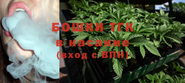 прущие крисы Белокуриха