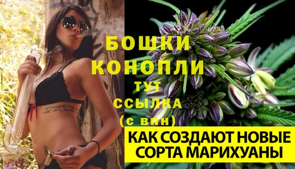 индика Балахна