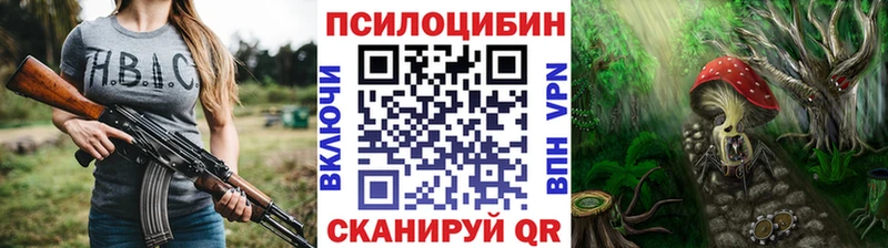 Псилоцибиновые грибы Psilocybe  Туран 